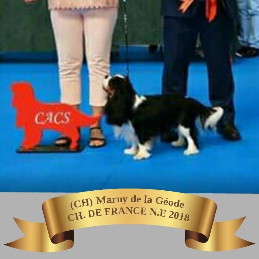 CH. Marny De la geode