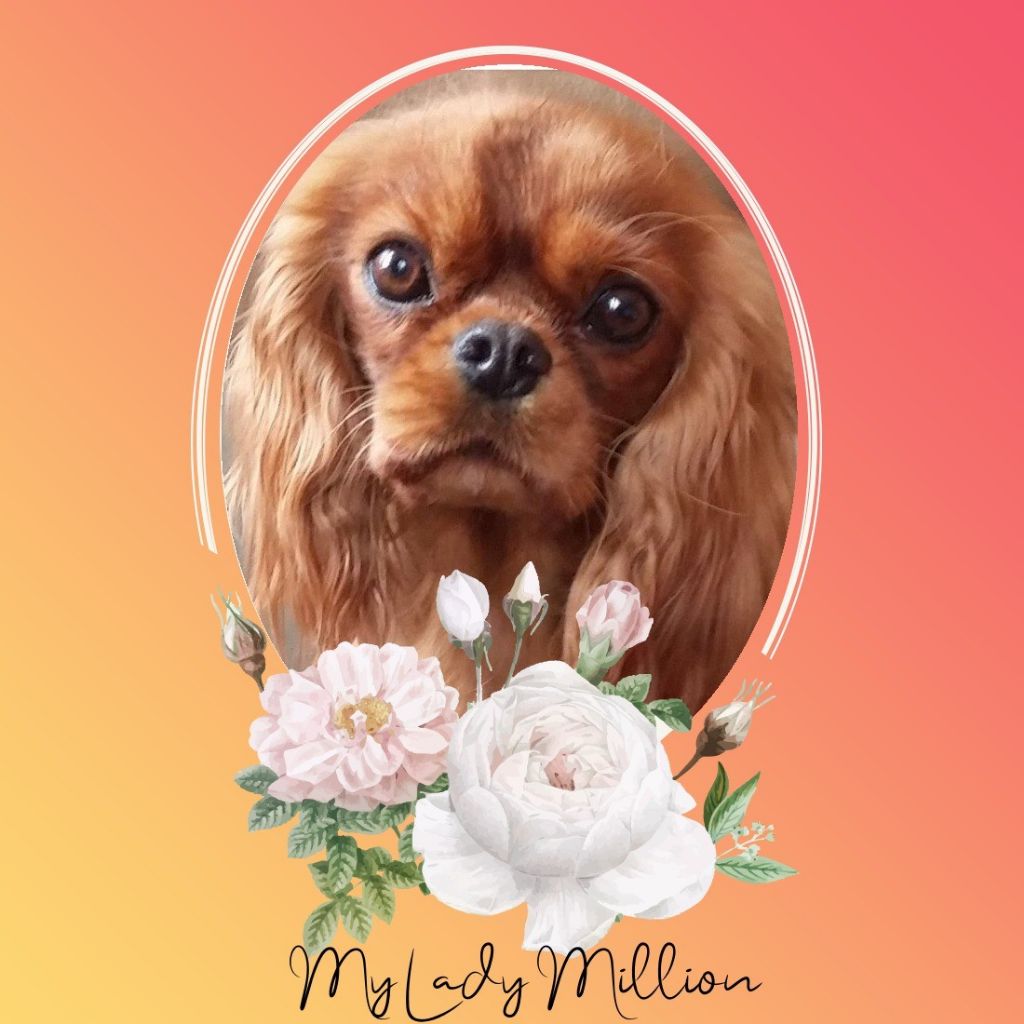 Mademoiselle coco des Princes de la foret noire